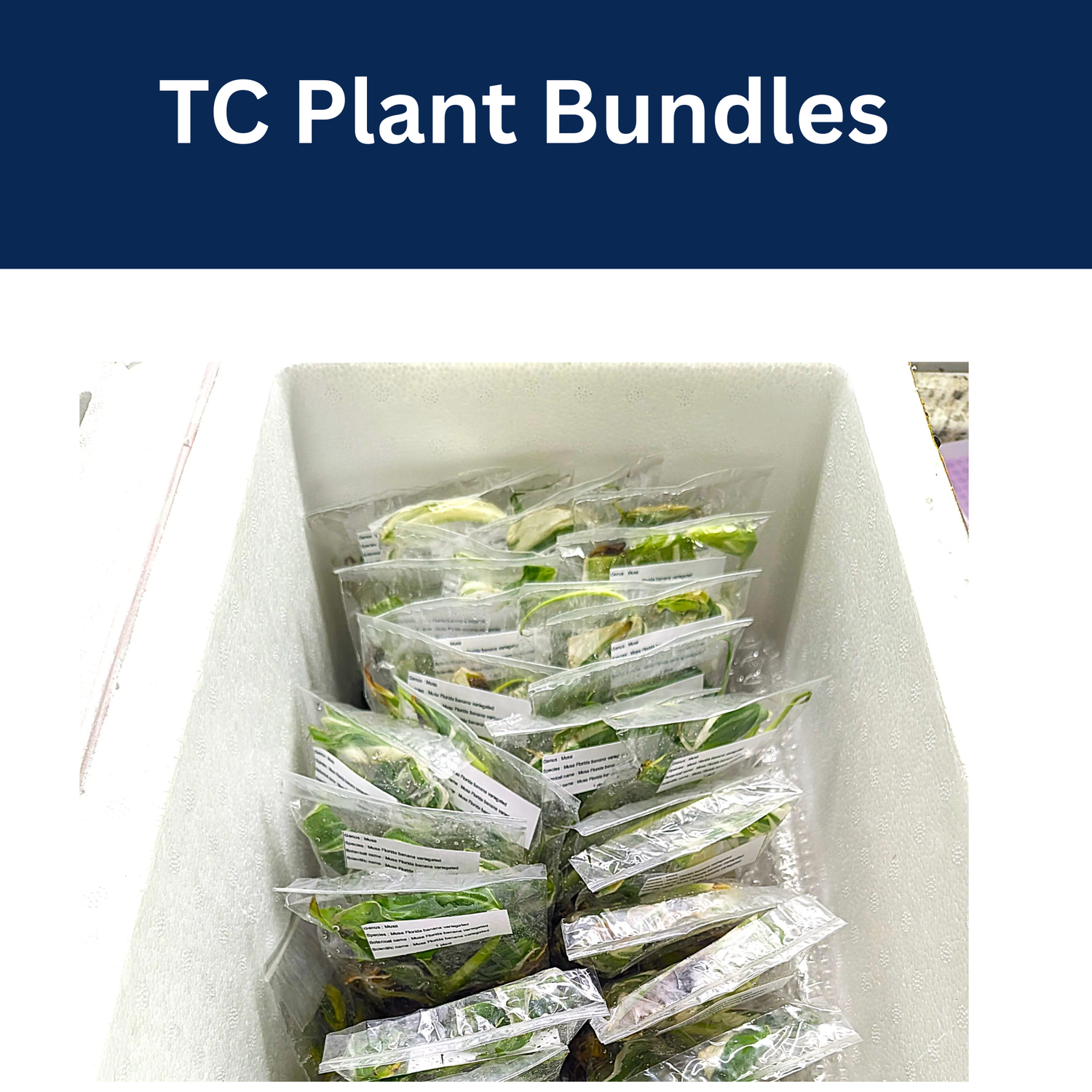 TC Plant Bundle