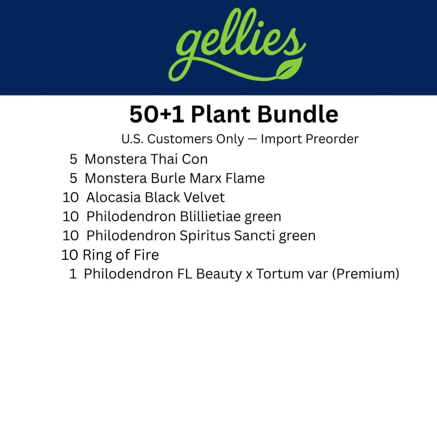 Tissue Culture Bundle 50+1 plants