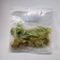 Philodendron Ring of Fire Tissue Culture Plants – 10 Pack